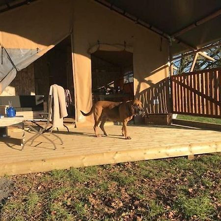 Lapwing Safari Tent Cheltenham Exterior foto